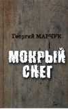 Мокрый снег